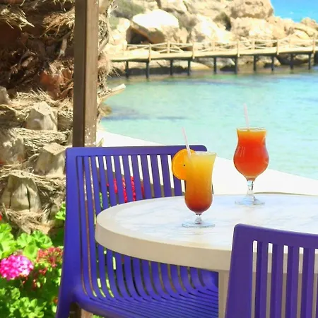 DENIZKIZI&DENIZKIZI ROYAL SEAFRONT Resort&Restaurant&Beach Club Kyrenia (Northern Cyprus)